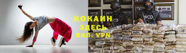 прущая мука Богородицк