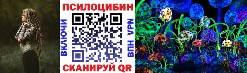 Псилоцибиновые грибы Psilocybe  Микунь 